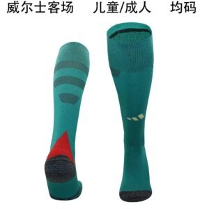 2024 Wales Away Socks